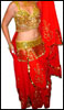 Picture of a Mass Produced Egyptian Belly dance Costume
Click picture to enlarge