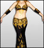 Picture of a Designer Egyptian Belly dance Costume
Click picture to enlarge