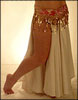 Picture of a Belly dance panel skirt
Click picture to enlarge
